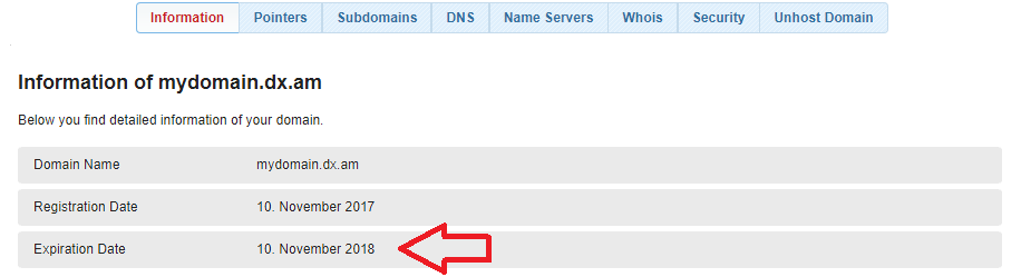 Conducting a Domain Name Expiration Check