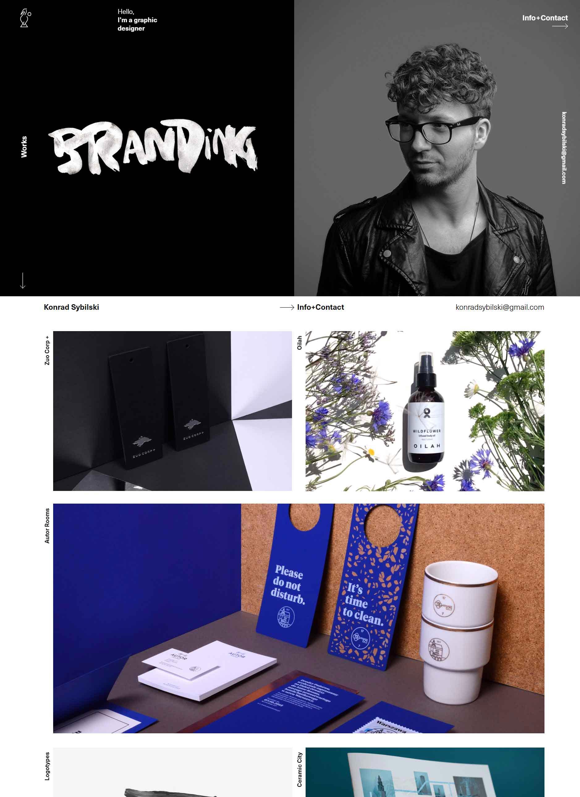 5 Brilliant Graphic Design  Online Portfolio Examples to 