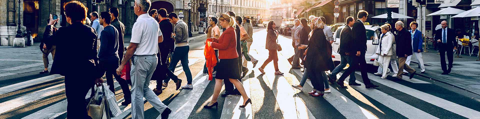 Audience Segmentation