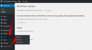 delete wordpress auto image resize delete wordpress auto image resize