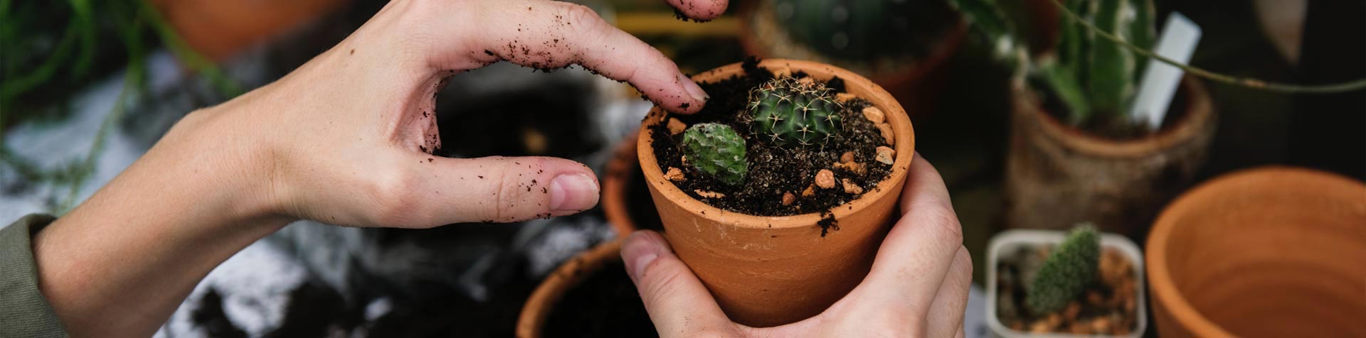 How to make money from a hobby