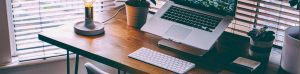 How Much Does Web Hosting Cost