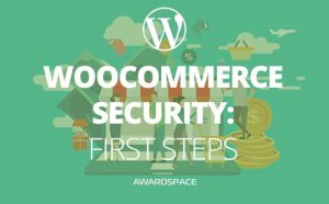 woocommerce security