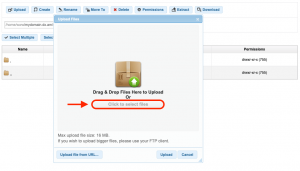 The File Manager allows you to upload files stored on your computer.