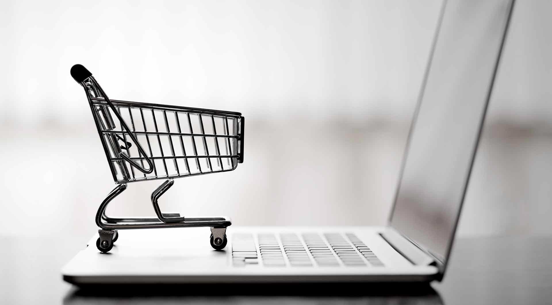 Ecommerce Hosting