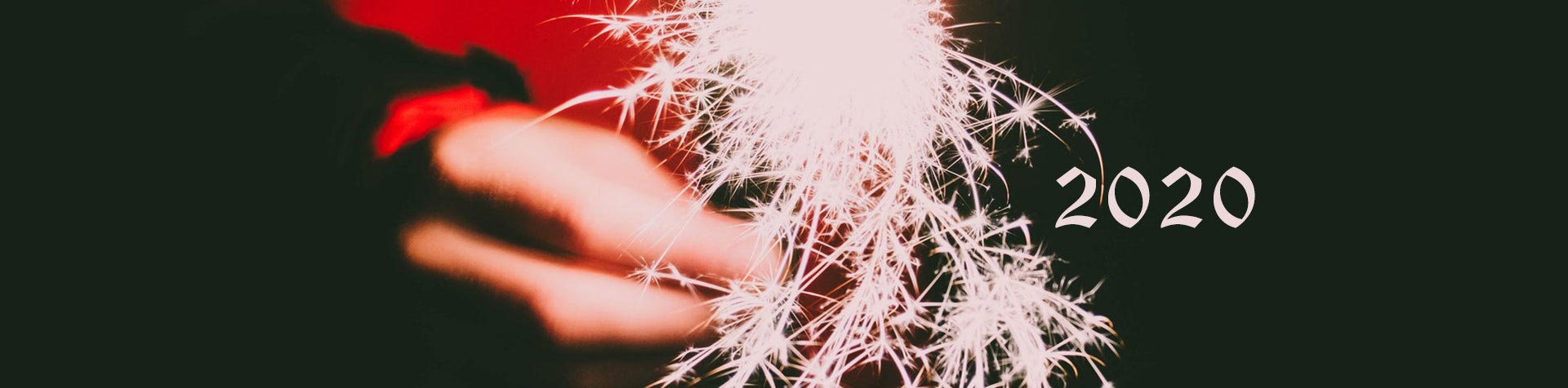 Recap of 2019 and Website and Business Planning for 2020.