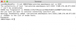 Success! The SSH connection was successful and we are ready to start issuing MySQL commands to the server.