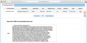 The CSR itself is the piece of information you need to provide to your SSL issuer.