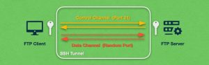 FTP exchanges take place on two channels. One is the Control Channel and the other is the Data Channel.