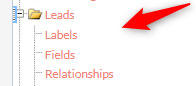 Options in the Module menu