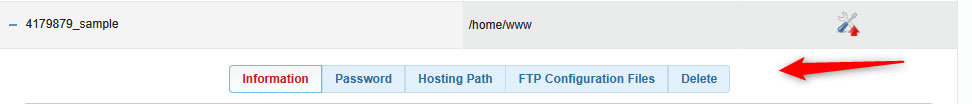 FTP Account options