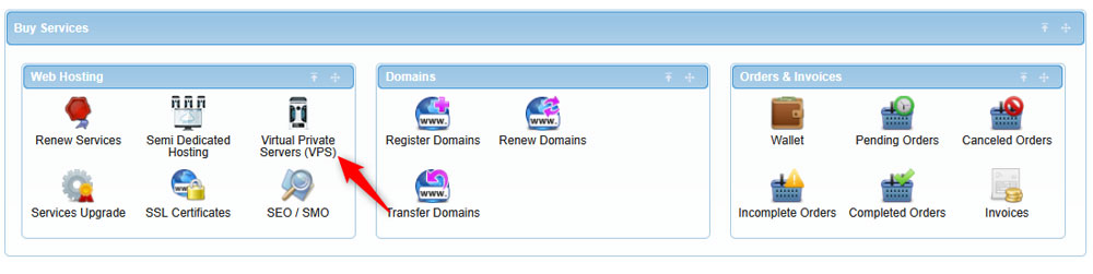 Select VPS from the Purchase Category